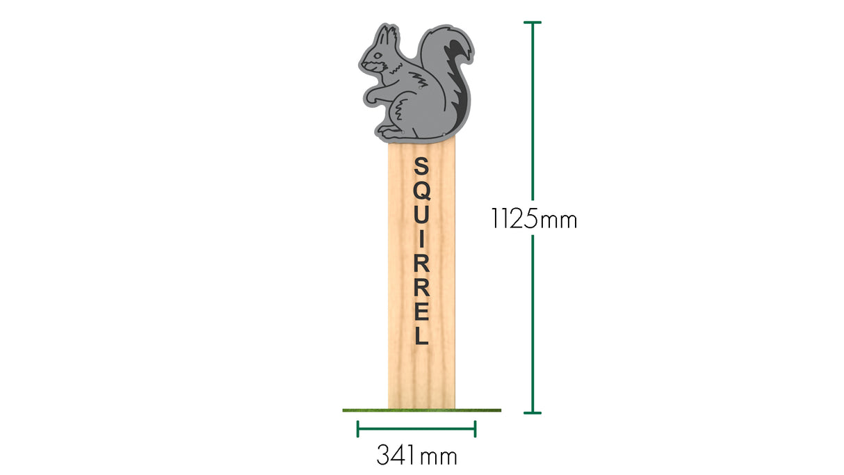 Squirrel Animal Post