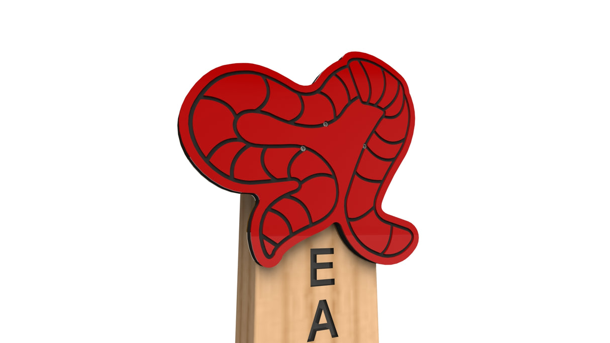 Earthworm Animal Post