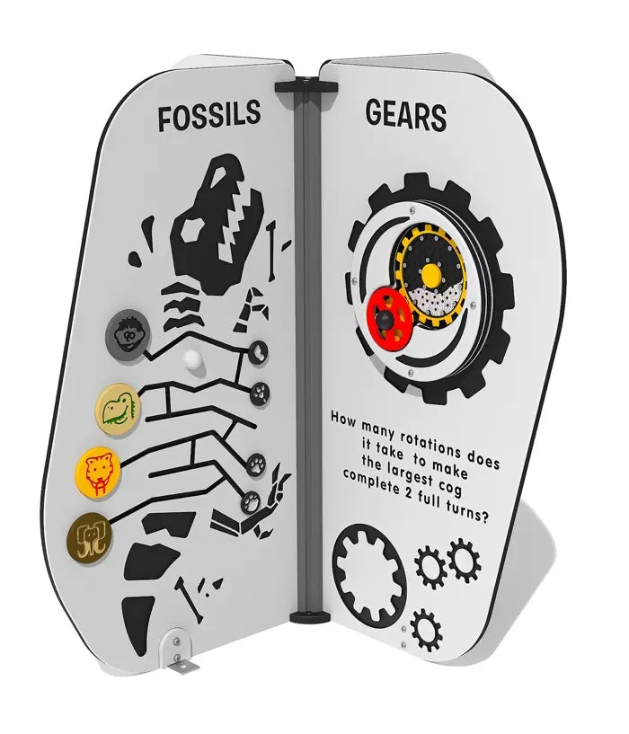 Science Activity Station