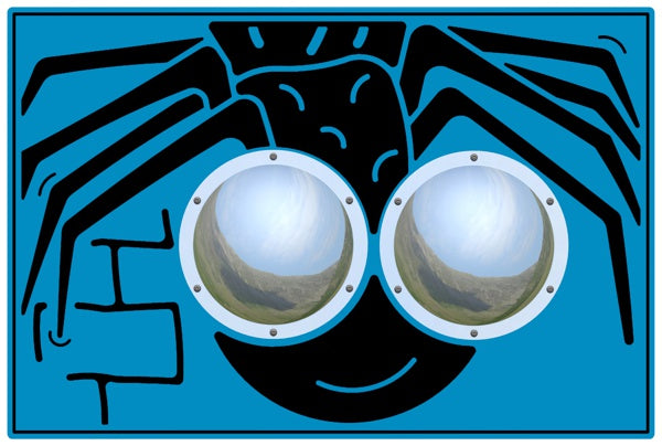 Zoom Bug Eyes Spider Play Panel