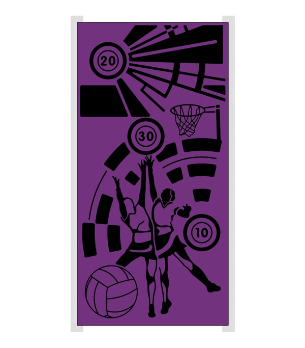 Sports Wall Netball Panel
