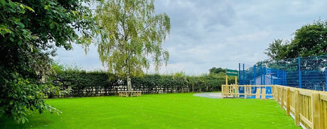 Play area with trees and fencing