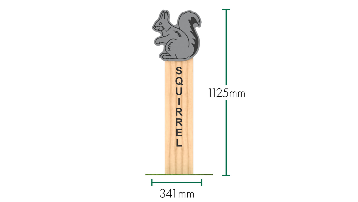 Squirrel Animal Post