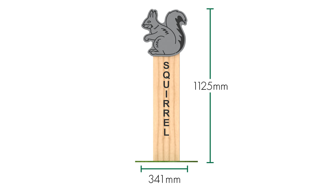 Squirrel Animal Post