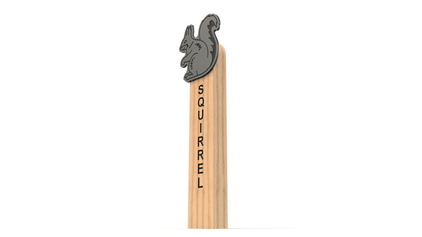 Squirrel Animal Post