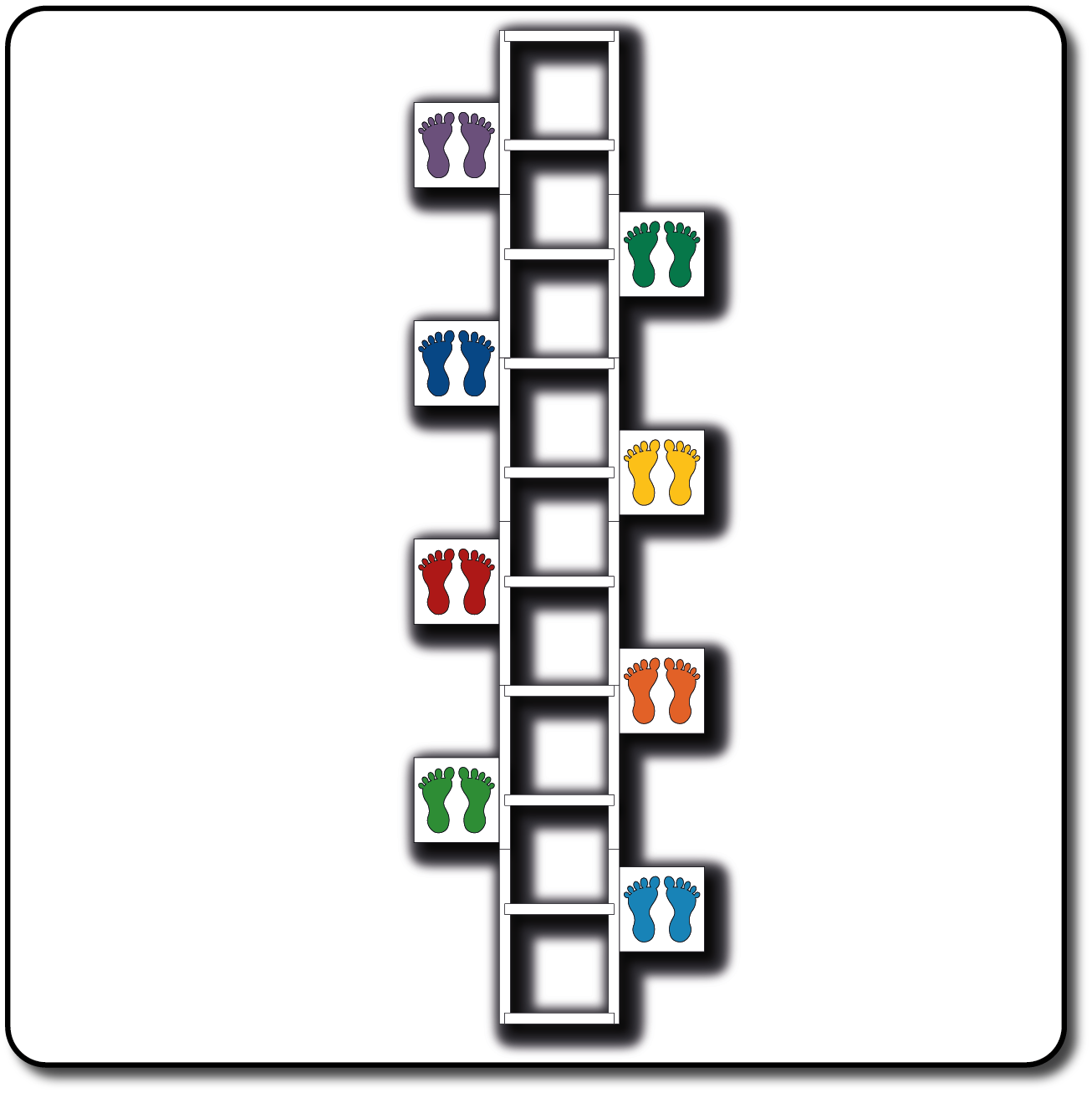 Training Ladder