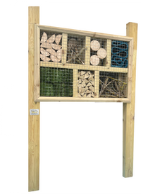 Bug Palace