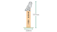 Barn Owl Animal Post
