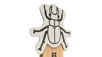 Beetle Animal Post