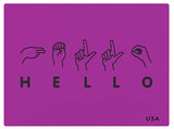 Hello Sign Language US Play Panel