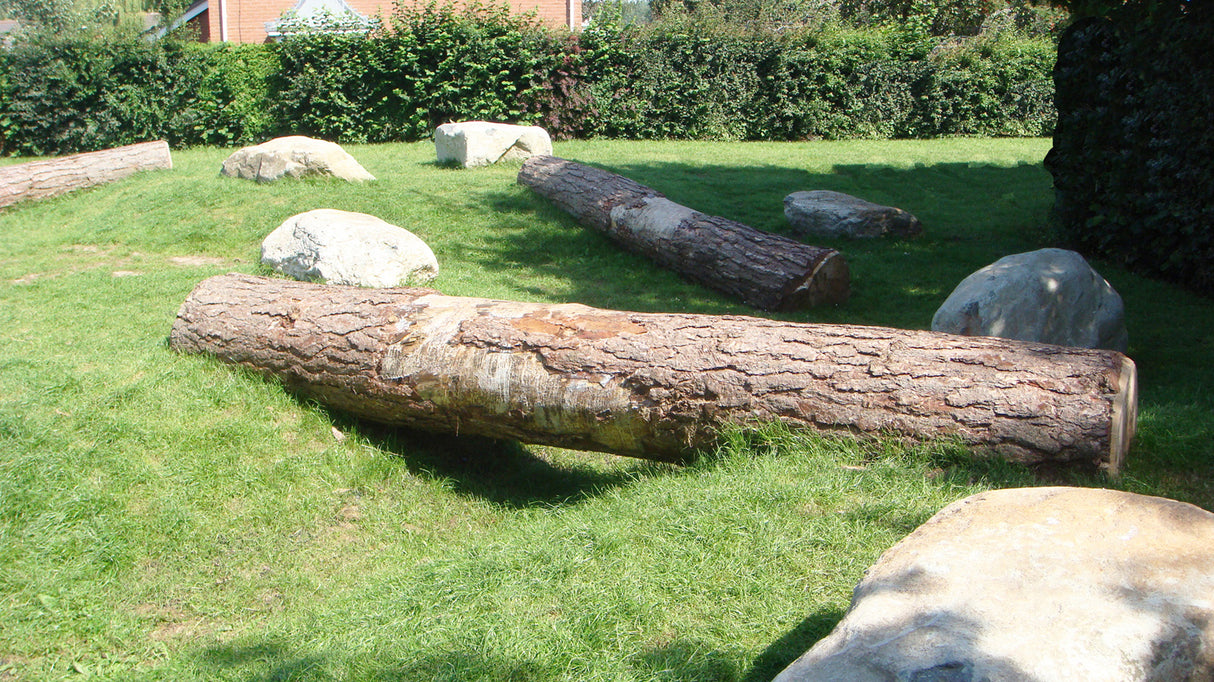 Tree Trunks
