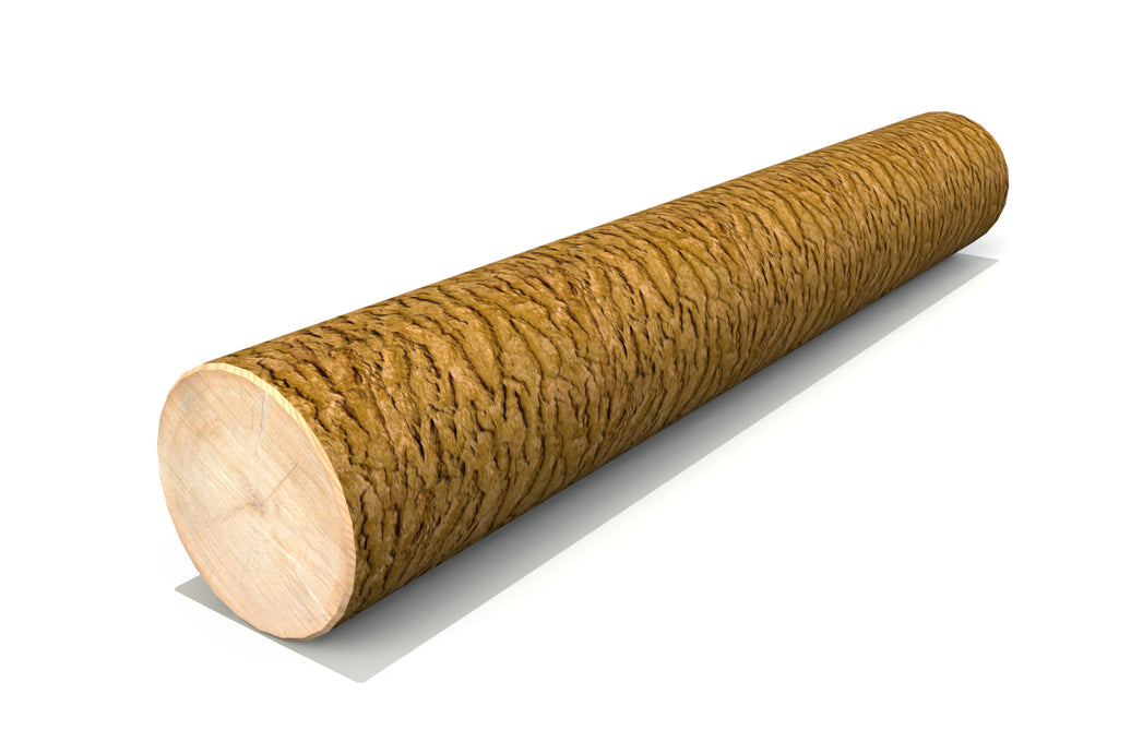 Tree Trunks