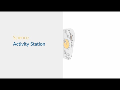 Science Activity Station