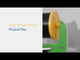 Melody Wheel Musical Play Panel