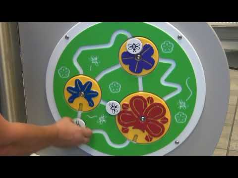 Flower Explorer Panel Insert