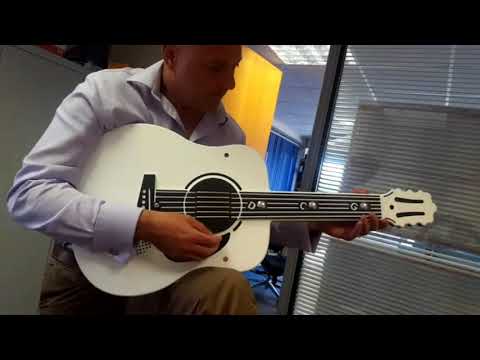 PlayTronic Acoustic Guitar Musical Play Panel